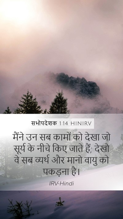 सभोपदेशक 1:14 HINIRV Bible Verse Image