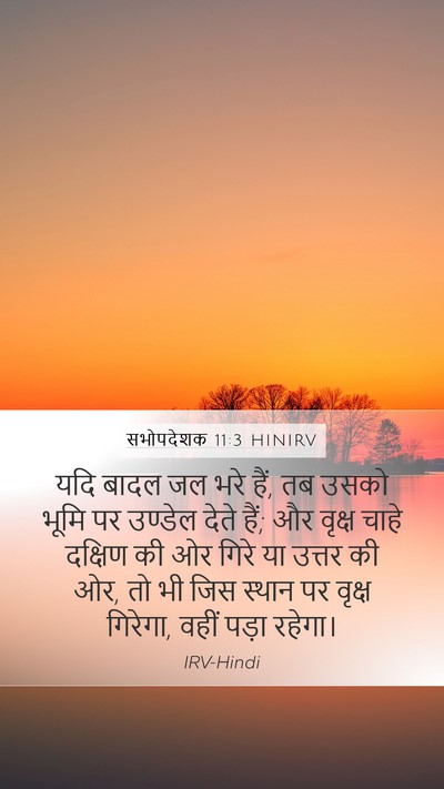 सभोपदेशक 11:3 HINIRV Bible Verse Image