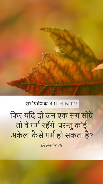 सभोपदेशक 4:11 HINIRV Bible Verse Image