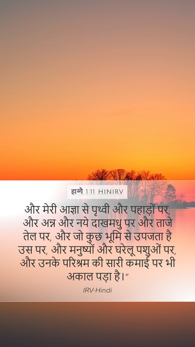 हाग्गै 1:11 HINIRV Bible Verse Image
