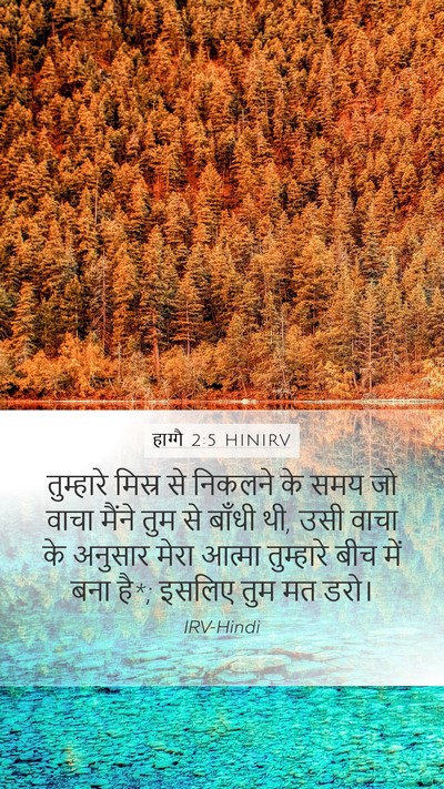 हाग्गै 2:5 HINIRV Bible Verse Image
