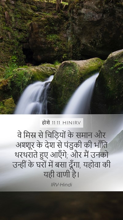 होशे 11:11 HINIRV Bible Verse Image