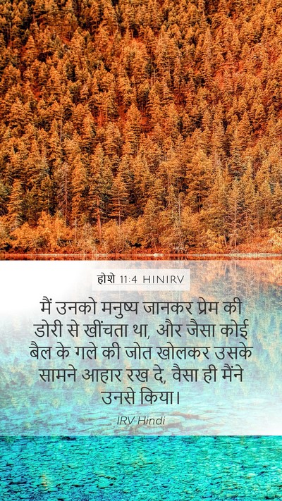 होशे 11:4 HINIRV Bible Verse Image