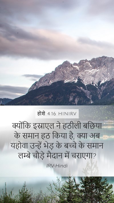 होशे 4:16 HINIRV Bible Verse Image