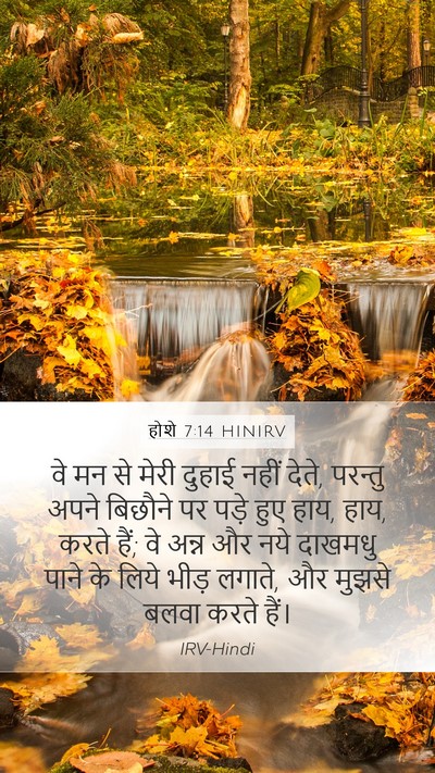 होशे 7:14 HINIRV Bible Verse Image